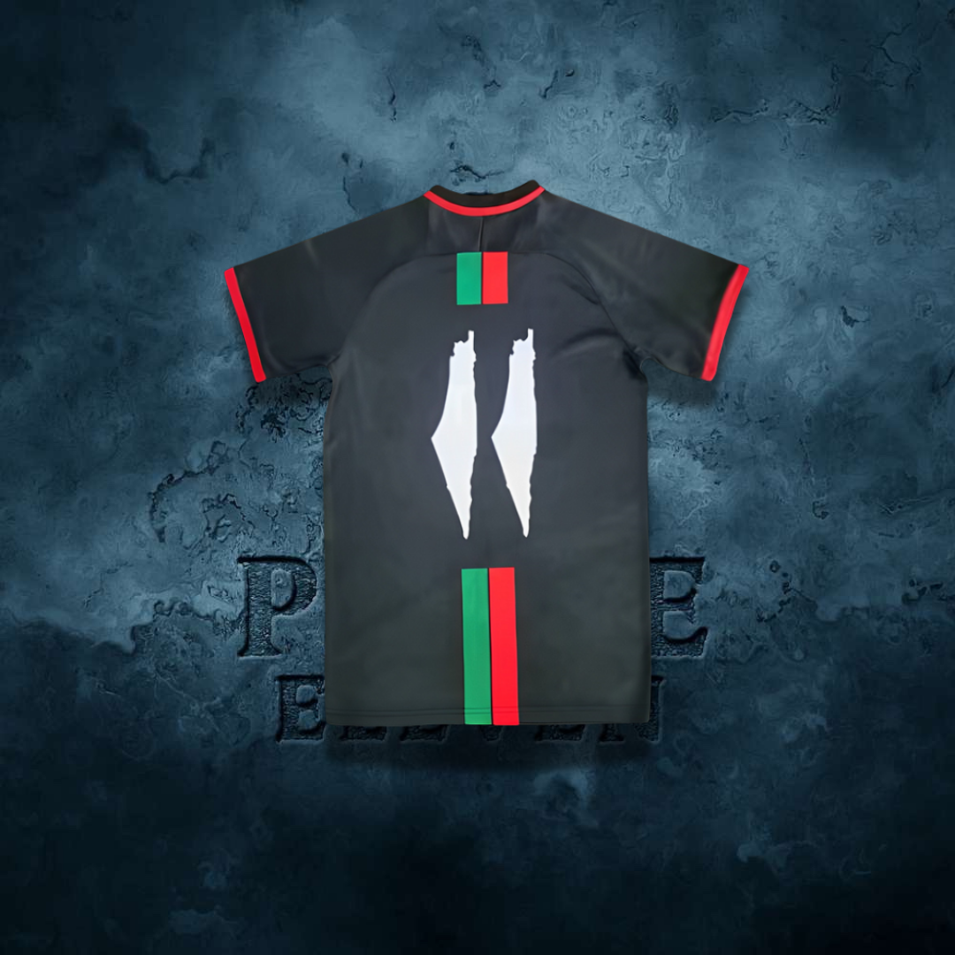 Maillot Palestine Concept
