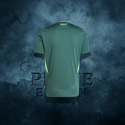 Algérie Maillot Éxterieur 24/25